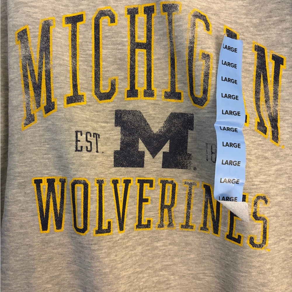 Champion Gray Michigan Wolverines Sweatshirt - Picture 2 of 3